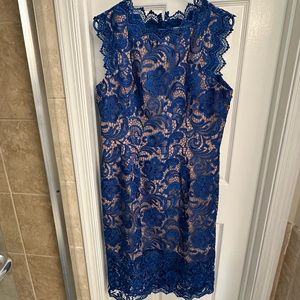 Dress the Population blue lace dress
